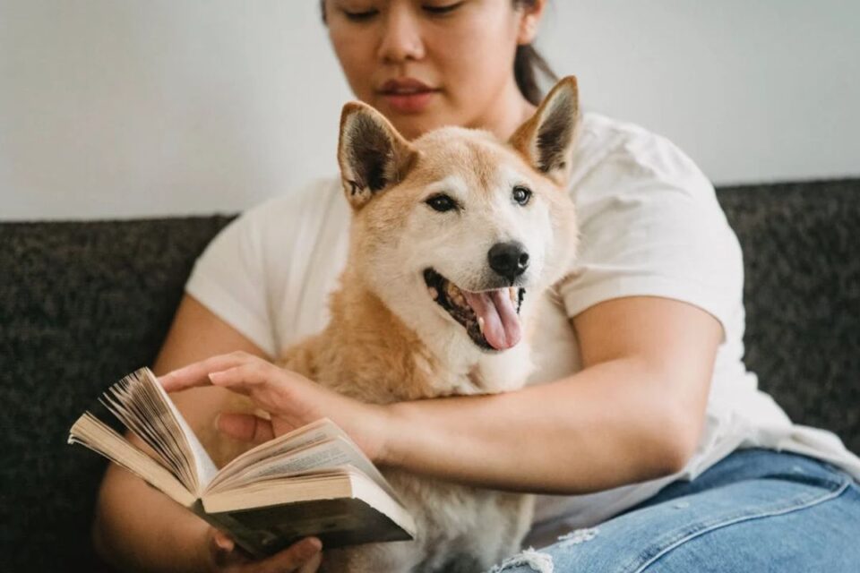 Animal Storybooks